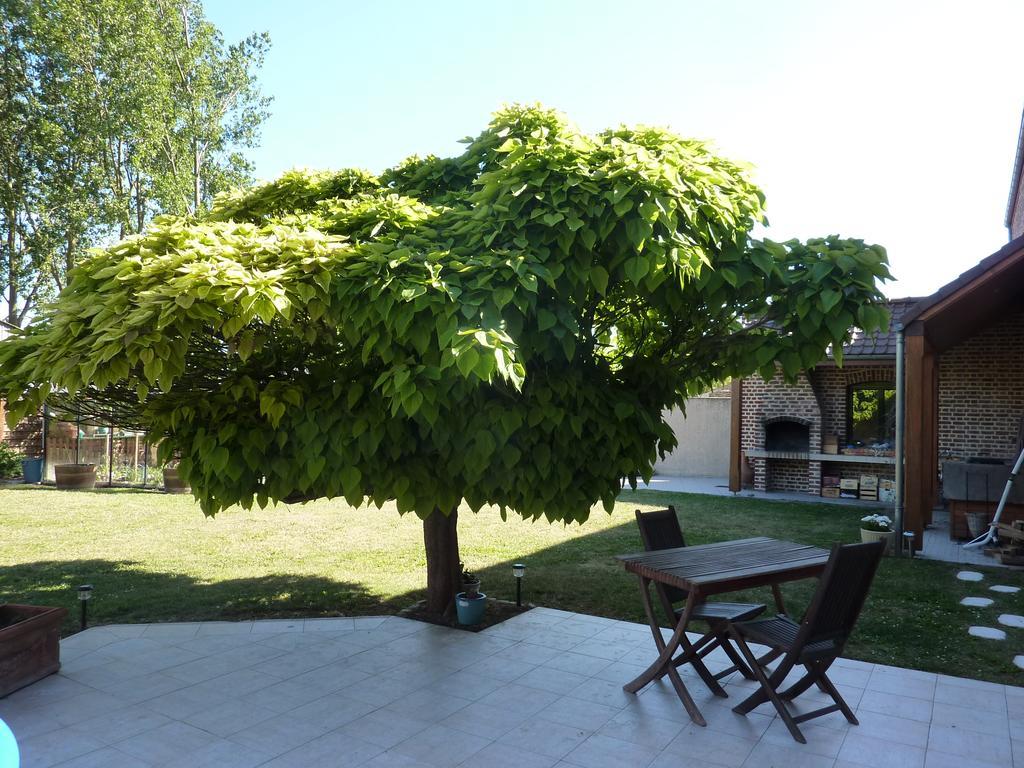 La Parenthese Villa La Couture  ภายนอก รูปภาพ